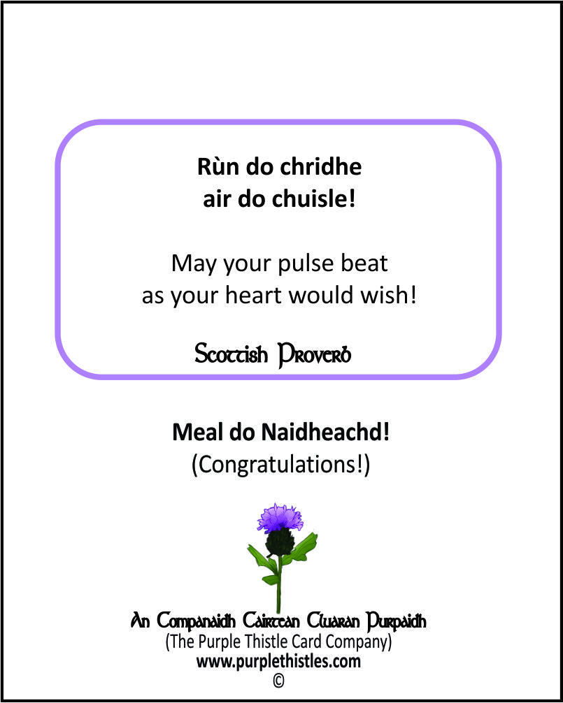 E-003 B Run do chridhe air do chuisle!