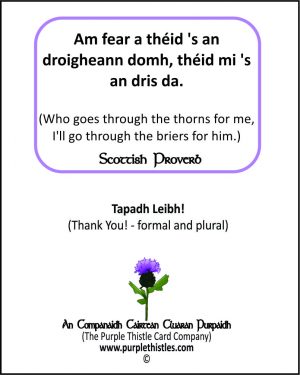 Am fear a theid 's an droigheann domh, theid mi 's an dris da.