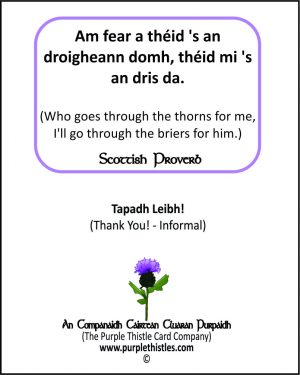 Am fear a theid 's an droigheann domh, theid mi 's an dris da.