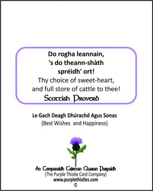Do rogha leannain 's do theann-shath spreidh' ort!