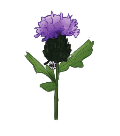 Purple thistles